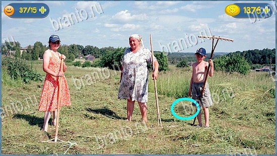 ответы для игры Где кот