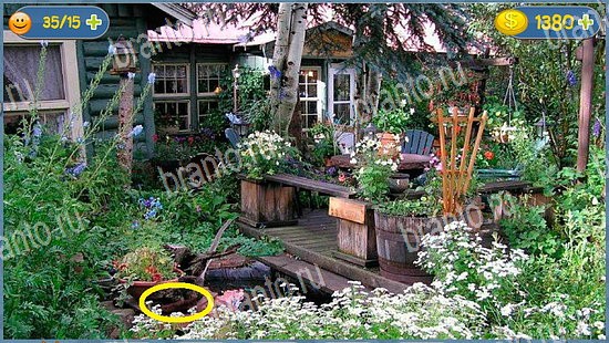 Где кот игра ответы