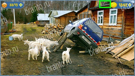 игра в одноклассниках Где кот ответы