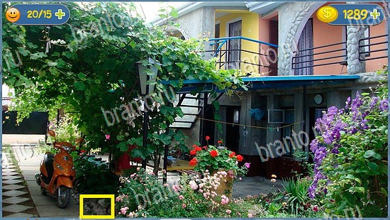 Решения на игру Где кот уровень 2403