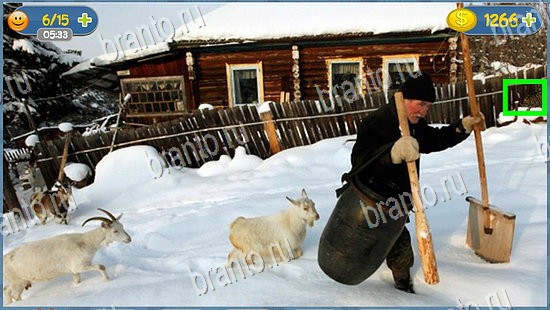 ответы Где кот? в одноклассниках