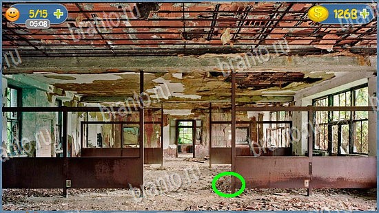 ответы для игры Где кот