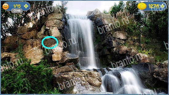 Где кот помощь в картинках