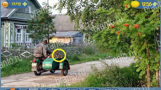 ответы к игре где кот уровень 2436