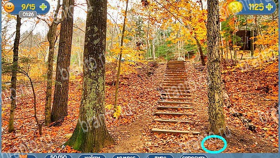 Где кот? подсказки уровень 2489