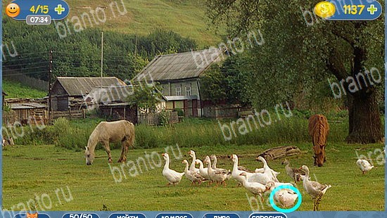 Где кот игра помощь уровень 2495