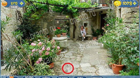 ответы Где кот