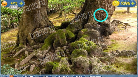 Где кот игра ответы