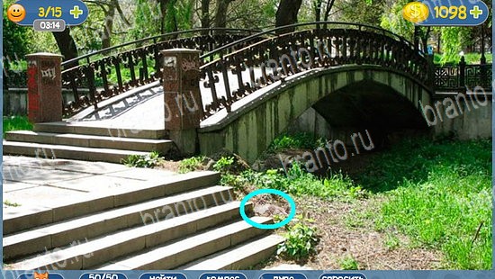 игра в одноклассниках Где кот ответы