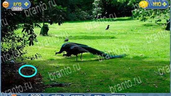 ответы к игре где кот уровень 2516