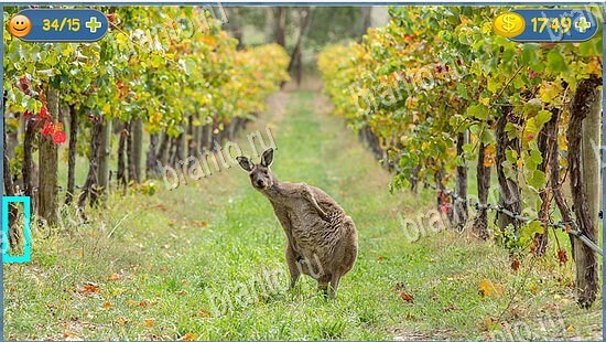 ответы к игре Где кот уровень 2525