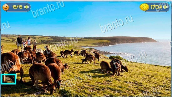 Где кот прохождение игры