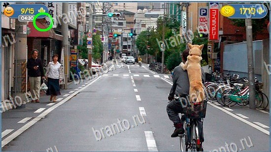 ответы Где кот