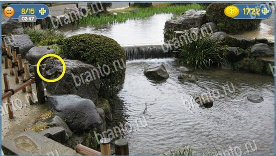 ответы Где кот? в одноклассниках