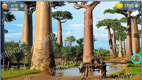 игра в одноклассниках Где кот ответы