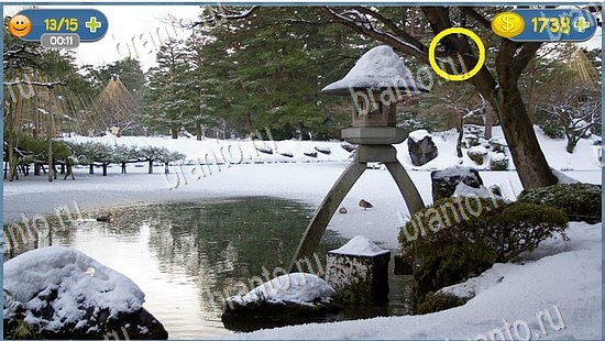 игра где кот подсказки уровень 2554