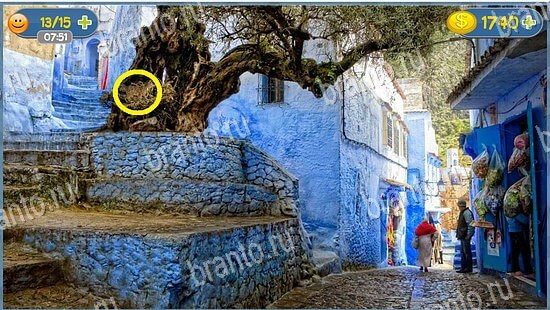 где кот ответы на игру уровень 2555