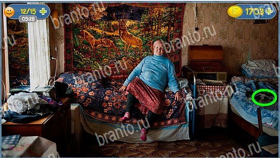 Где кот ответы в картинках уровень 2576