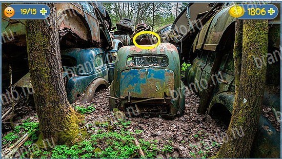 ответы на игру Где кот в скриншотах