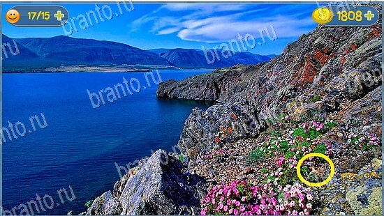 где кот ответы на игру уровень 2593