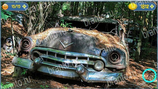 где кот ответы на игру уровень 2595