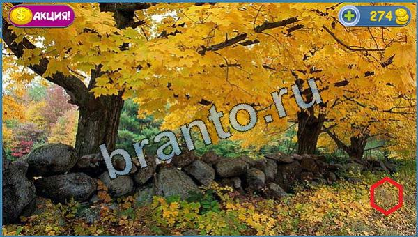 ответы Где кот