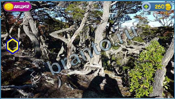 решения для игры Где кот