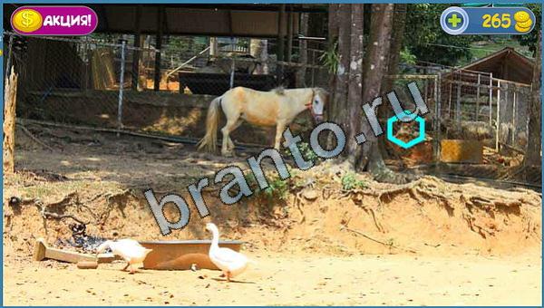 игра в одноклассниках Где кот ответы