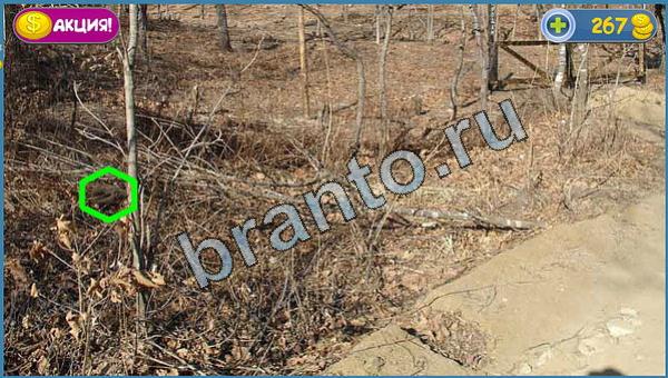 Где кот помощь в картинках