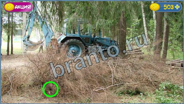 Где кот прохождение игры