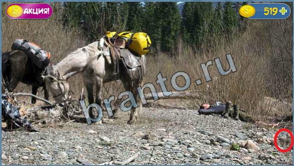 Где кот игра ответы