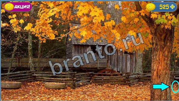 Где кот помощь в картинках