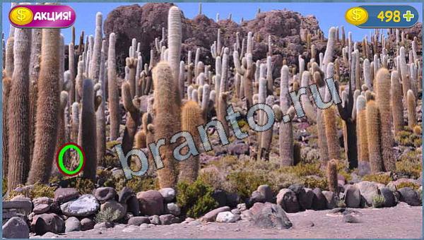 ответы для игры Где кот