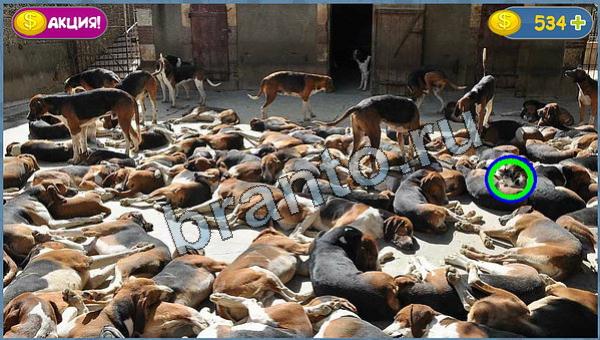 игра Где кот помощь уровень 19