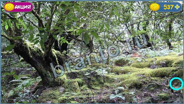 Игра Где кот прохождение уровень 20