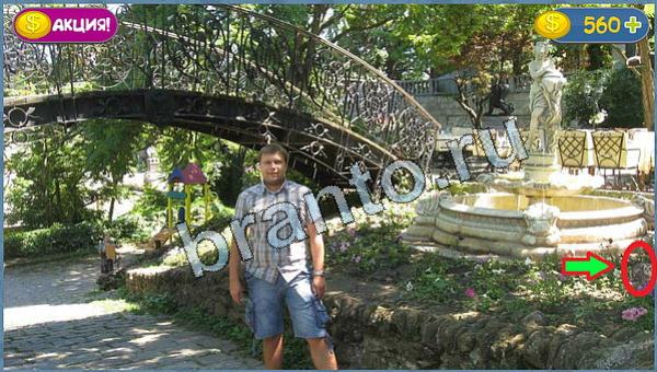 Где кот помощь в картинках