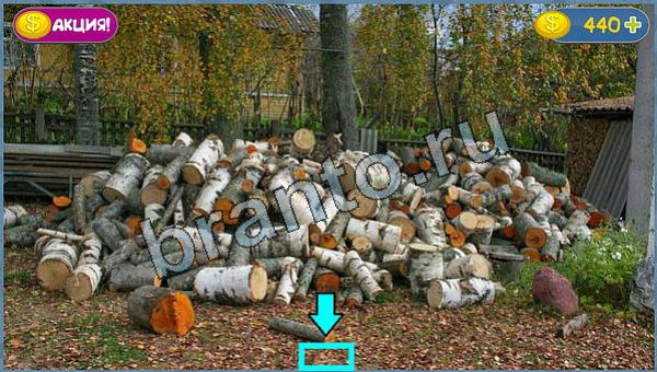 Игра Где кот ответы уровень 17