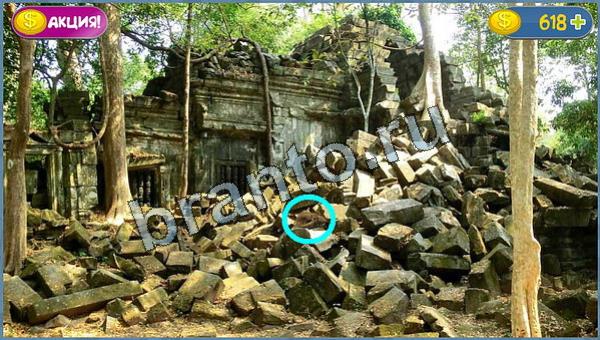 решения для игры Где кот