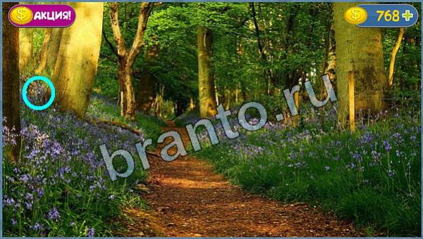 Где кот? ответы уровень 8