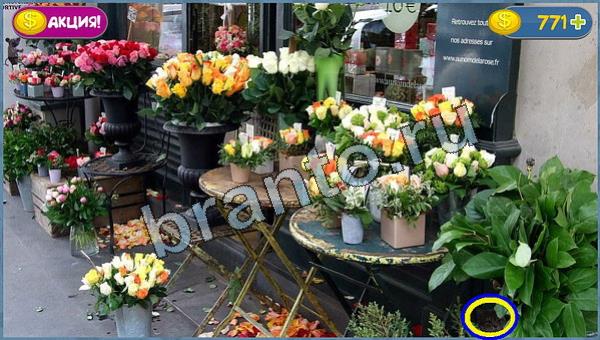 Где кот? подсказки уровень 9