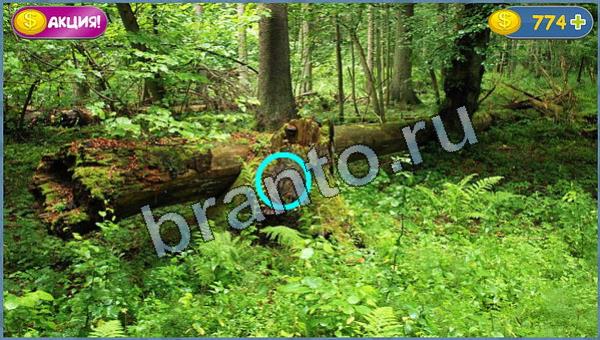 Где кот? помощь уровень 10