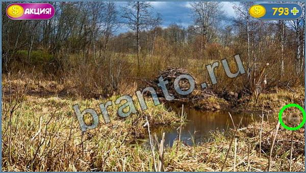 Прохождение игры Где кот