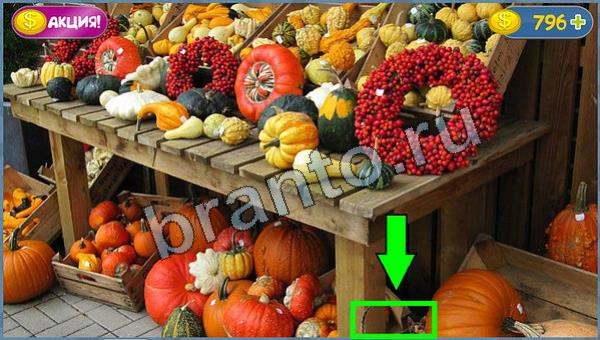 ответы Где кот