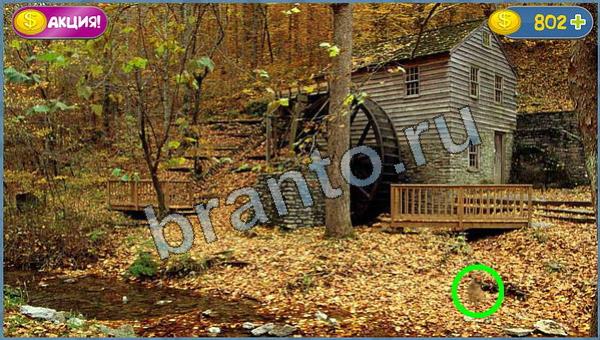 ответы для игры Где кот