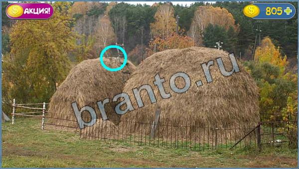 решения для игры Где кот