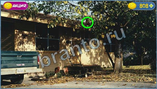 Где кот игра ответы