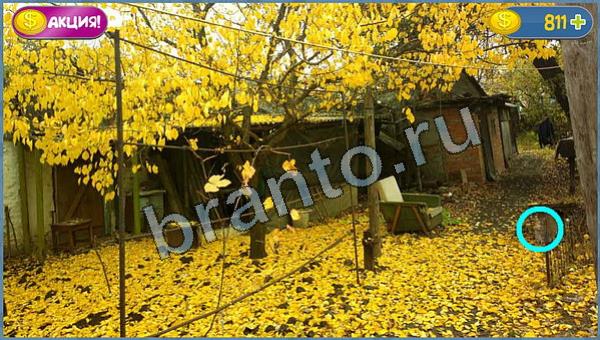 игра в одноклассниках Где кот ответы