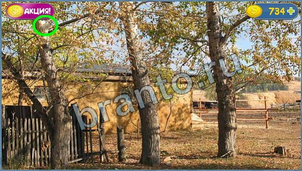 Где кот помощь в картинках