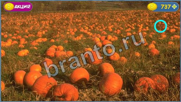 ответы на игру Где кот в скриншотах