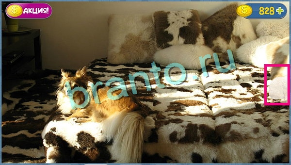 ответы к игре Где кот уровень 5